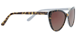 Malvina Cateye Brown Sunglasses4