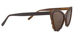 Xalvadora Cat eye Brown Sunglasses4