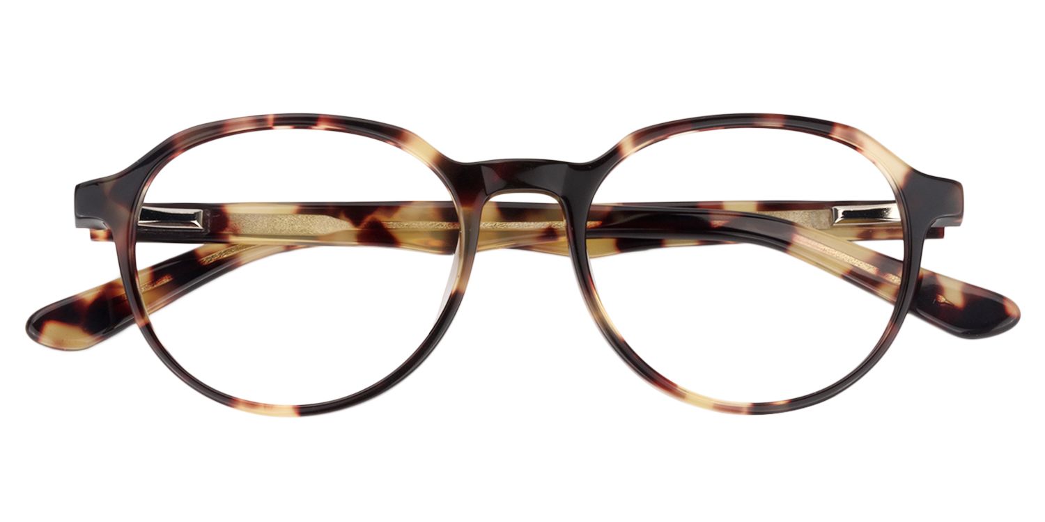 Round Tortoise Glasses | Zeelool Glasses1