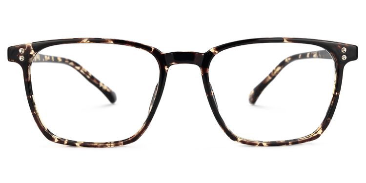 Martinez Square Tortoise Glasses