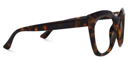 Dalmau Cateye Tortoise Glasses2