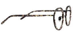 Merle Aviator Clip-on Glasses 2