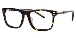 Slater Rectangle Tortoise Glasses2