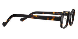 Stark Asymmetric Tortoise Eyeglasses4