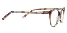Demetrius Cateye Brown Glasses4