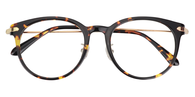 Round Tortoise Glasses | Zeelool Eyeglass Frames1
