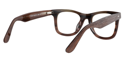 Willy Rectangle Brown Glasses5