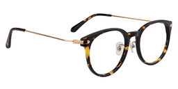 Ismael Round Tortoise Glasses3