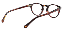 Vicente Round Tortoise Glasses5