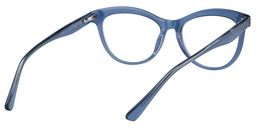 Hargrove Cateye Blue Glasses5