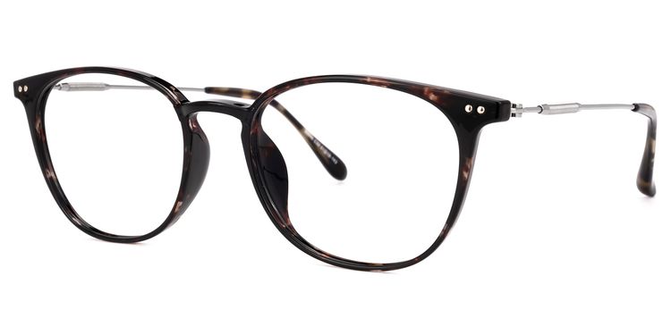 Vilanova Round Tortoise Glasses