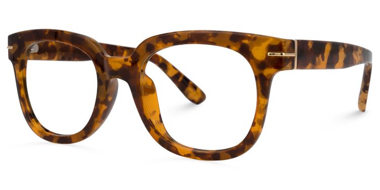 Beckwith Square Tortoise Glasses