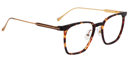 Vincent Rectangle Gold-Tortoise Glasses3