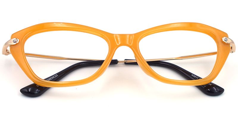 Mary Cute Cat Eye Glasses1