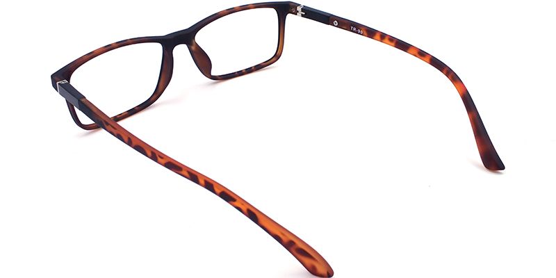 Audrey Wayfarer Eyeglasses9
