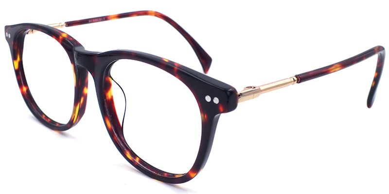 Sophia Bug-eye Glasses8