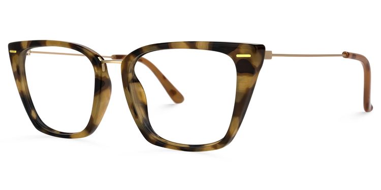 Katina Square Tortoise Glasses