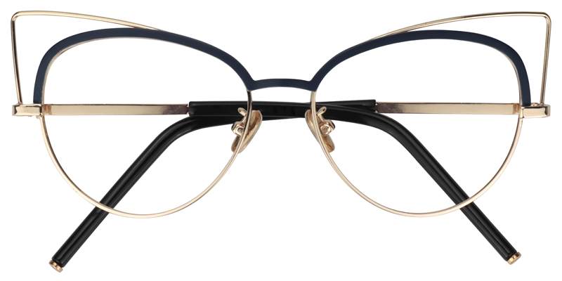 Cat Eye Dark Blue Glasses1