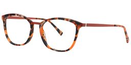Adelaide Rectangle Tortoise Glasses2
