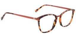Adelaide Rectangle Tortoise Glasses5