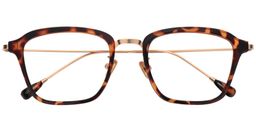 Virginia Square Tortoise Glasses1