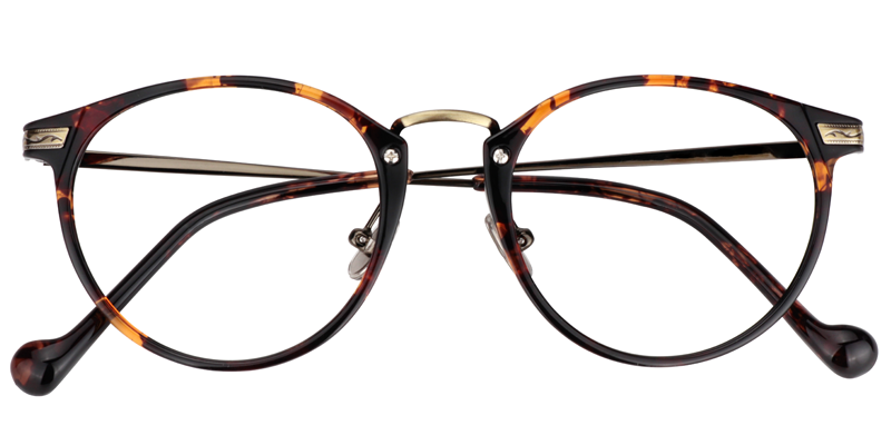 Round Tortoise Glasses | Zeelool Eyeglasses1