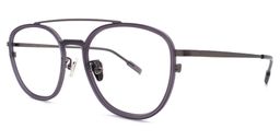 Cynthia Aviator Titanium Glasses25