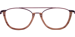 Alibi Aviator Brown Eyeglasses6