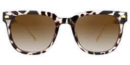 Hoskins Square Tortoise Sunglasses0