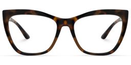 Ashton Cateye Tortoise Glasses0