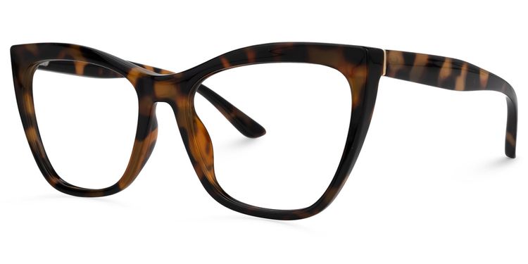 Ashton Cateye Tortoise Glasses