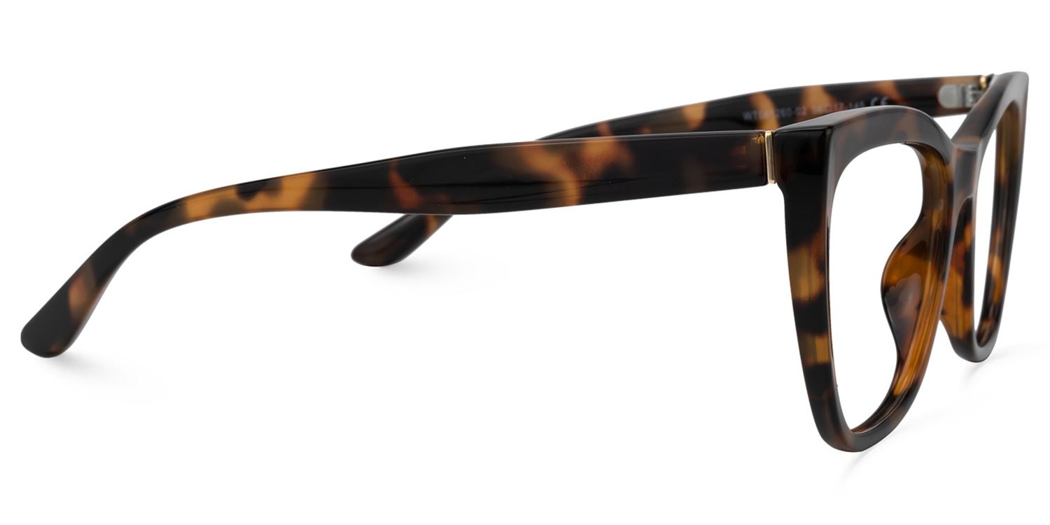 Buy Ashton Optical Glasses and EyeWear Frames on Zeelool2