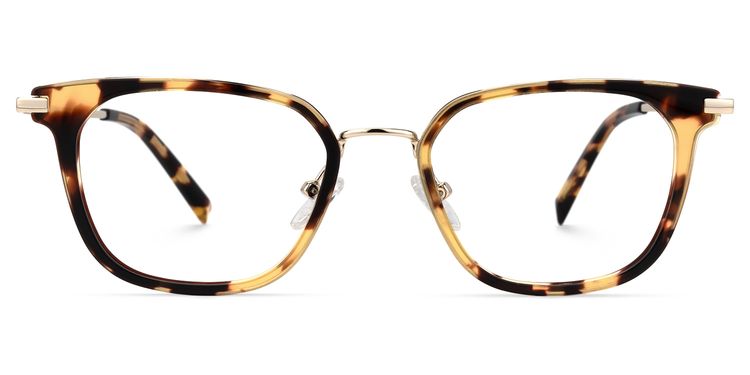 Bradford Square Tortoise Glasses