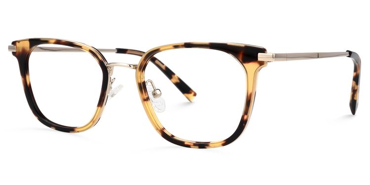 Bradford Square Tortoise Glasses