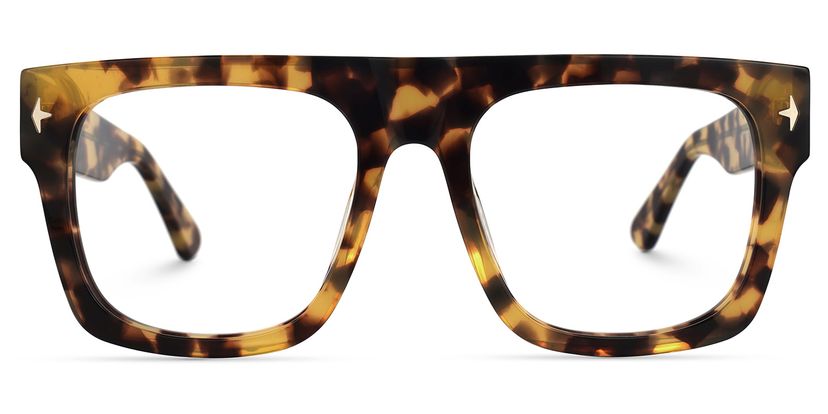Orton Square Tortoise Glasses