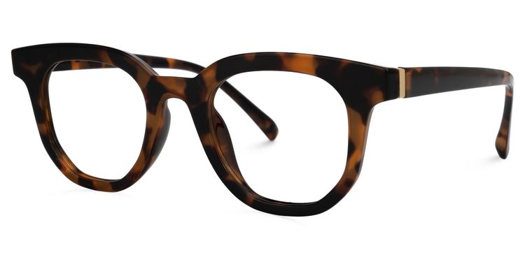 Shareka Square Tortoise Glasses