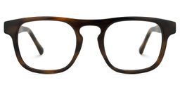 Layne Square Tortoise Glasses0
