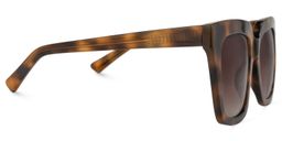 Lastarr Square Tortoise Sunglasses2