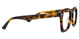 Natilus Round Tortoise Glasses2