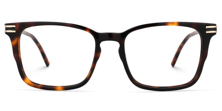 Kornelia Square Tortoise Glasses