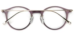 Anthony Round Purple Glasses5