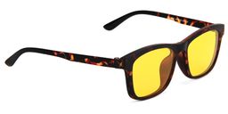 Michaelia Clip-On Glasses10