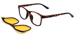 Michaelia Clip-On Glasses5