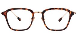 Virginia Square Tortoise Glasses0