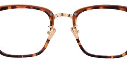 Virginia Square Tortoise Glasses4