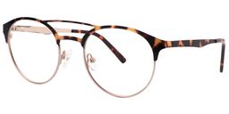 Fannie Aviator Gold-Tortoise Glasses2