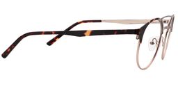 Fannie Aviator Gold-Tortoise Glasses4