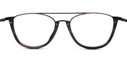 Alibi Aviator Tortoise Eyeglasses4
